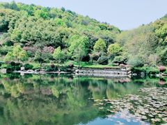 -桃花岭景区