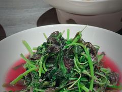 -小厨娘金榜题名(夫子庙秦淮河店)