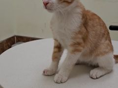 -美联众合24小时·皮肤科·外科·全科诊疗中心(华苑分院)