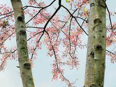 -白石龙音乐公园