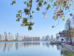-莫愁湖公园