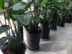 -CLASS国际公馆诺伯曼超越运动会馆