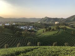 -帐篷客·溪龙茶谷度假酒店