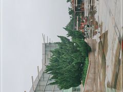-石家庄市植物园