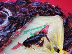 -沪上名羊天下•烤羊腿•东北烧烤•小龙虾(浦东直营总店)