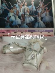 -艾薇芭蕾艺术中心
