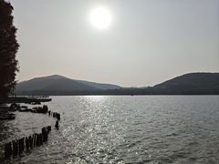 -长广溪湿地公园