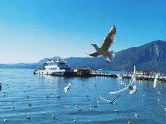 -呈贡滇池生态湿地公园