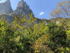-鹿院坪生态旅游景区