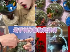 -国芳中心