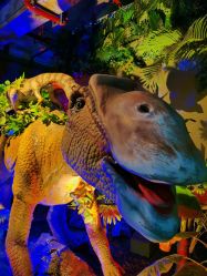 -恐龙探索乐园(磁器口店)