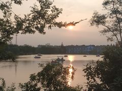 -上海长兴岛郊野公园