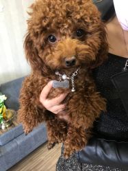-JERRY日式美甲美睫纹绣工坊