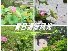 -无锡蠡湖国家湿地公园-蠡园