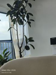 -HEYAN荷妍专业脱毛连锁机构