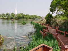-东方绿舟景区