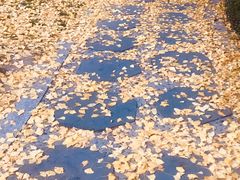 -海上海弘基休闲广场