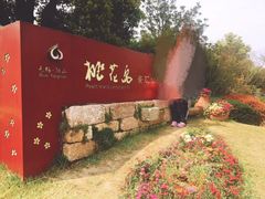 -桃花岛景观公园