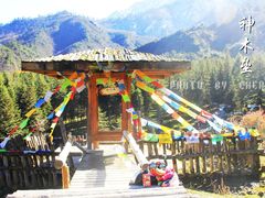 -硗碛藏寨·神木垒景区