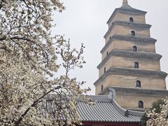 -大慈恩寺(大雁塔)