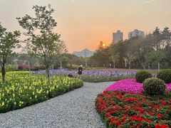 -文华公园(禅城区)