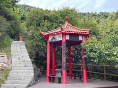 -金龙寺国家森林公园