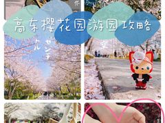 -高东镇樱花园