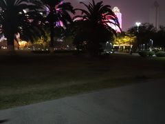 -万绿园