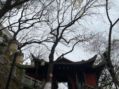 -白帝城·瞿塘峡景区