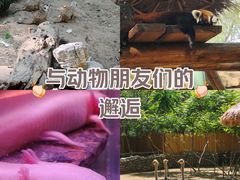 -北京野生动物园