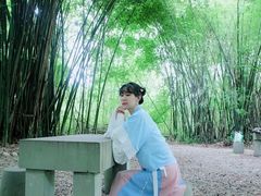 -桤木河湿地公园