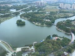 -嘉定凯悦·咖啡厅