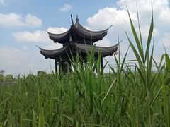 -尚湖风景区