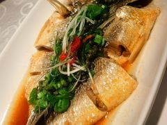 -阿英煲(凉城路店)