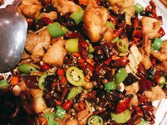 鲜椒辣子鸡-青年公社烤鸭(青年路店)