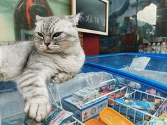 -西关84·History·Art·Cafe