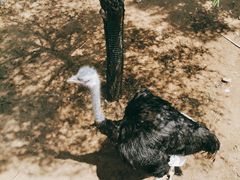 -鄂尔多斯野生动物园