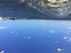 -黄金海岸