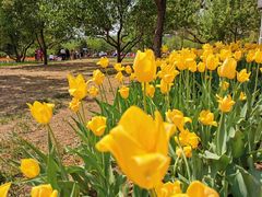 -长春公园(普阳街道)