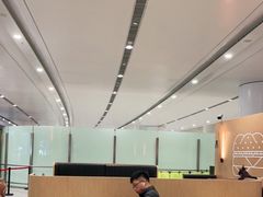 大堂-麦当劳(北京大兴机场二层国内到达(安检外)店)