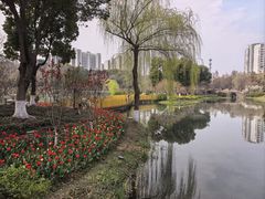 -圩墩遗址公园