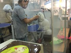 -PETKIT小佩宠物(古北店)