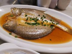 -华盛丰温州大排档(东三环南路店)