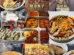 -成都大熊猫繁育研究基地