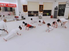 -极真空手道修远道场