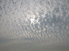-潜龙渠公园
