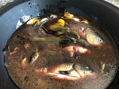 -夏家大锅台炖鱼馆
