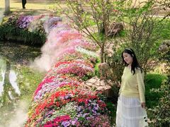 -苏州上方山国家森林公园