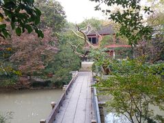 -汇龙潭