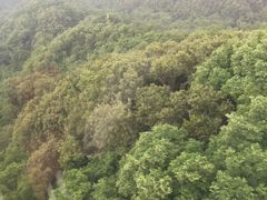 -崂山巨峰游览区